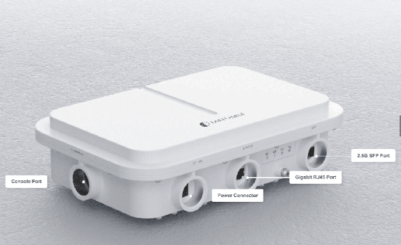 Data General Punto de Acceso Exterior WiFi 6 AX3000, Doble radio, Doble banda Antena Omnidireccional